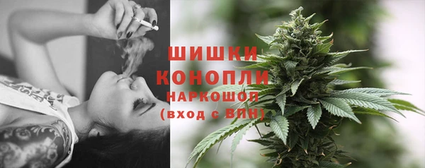не бодяженный Богданович