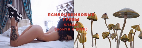 не бодяженный Богданович