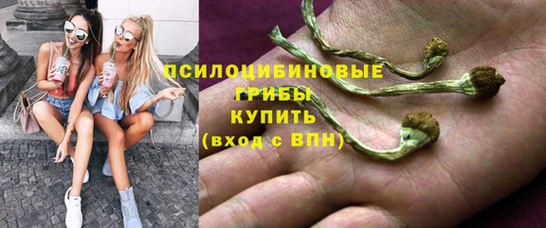 ешки Богородск