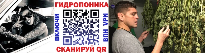 Конопля тримм  даркнет сайт  Бугульма 